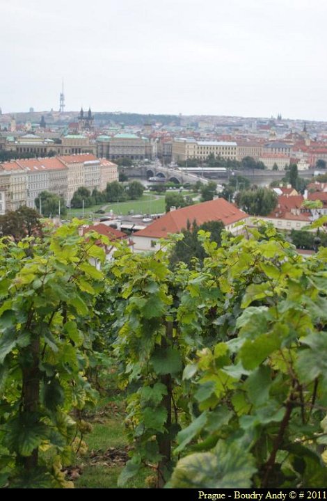 Prague - Mala Strana et Chateau 062